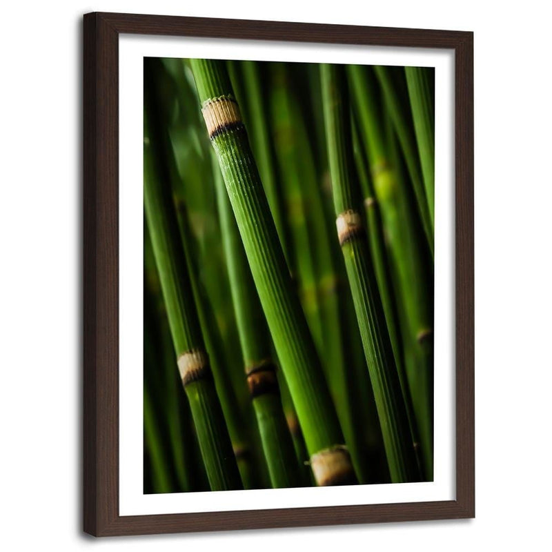 Glezna brūnā rāmī - Bamboo Forest  Home Trends DECO