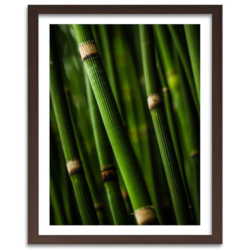 Glezna brūnā rāmī - Bamboo Forest  Home Trends DECO