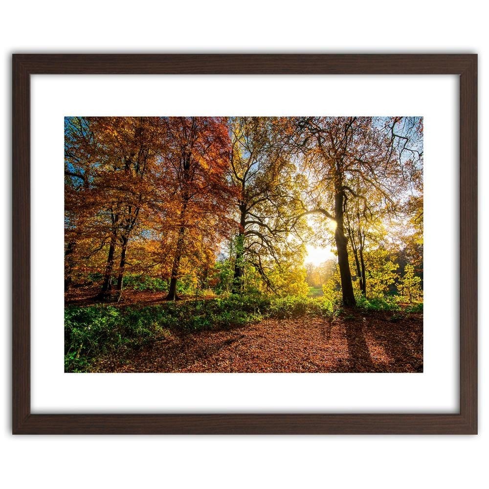 Glezna brūnā rāmī - Beautiful Autumn Forest  Home Trends DECO