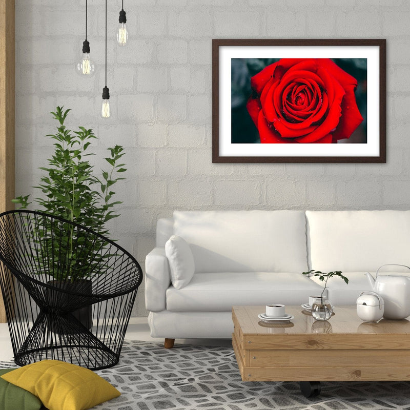 Glezna brūnā rāmī - Beautiful Red Rose 2  Home Trends DECO
