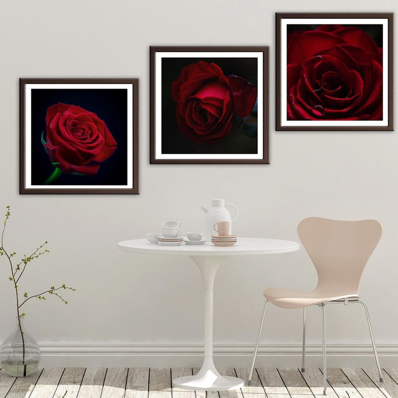 Glezna brūnā rāmī - Beautiful Red Rose  Home Trends DECO
