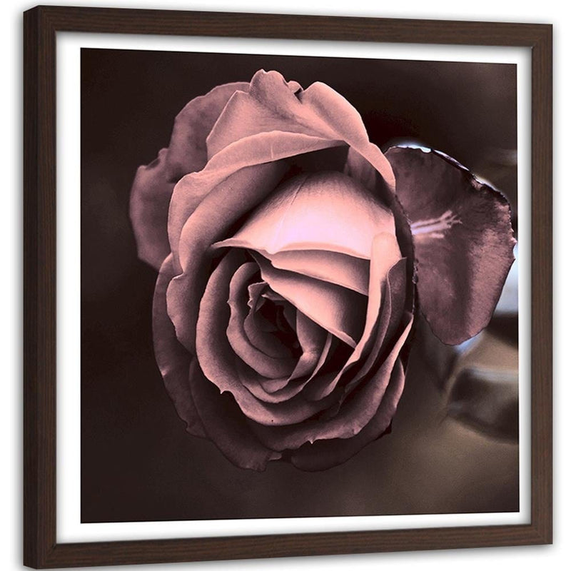 Glezna brūnā rāmī - Beautiful Rose  Home Trends DECO