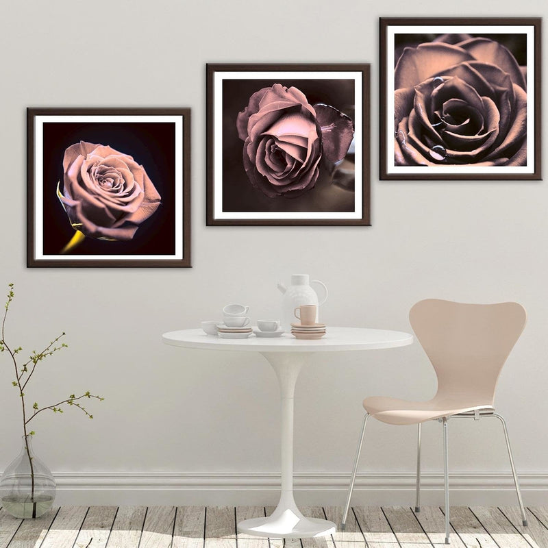 Glezna brūnā rāmī - Beautiful Rose  Home Trends DECO