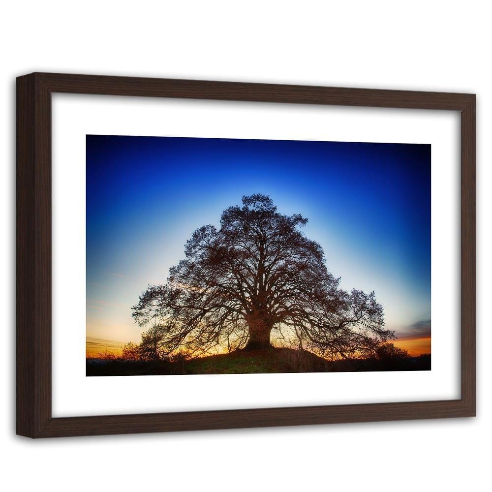 Glezna brūnā rāmī - Big Tree At Dusk  Home Trends DECO