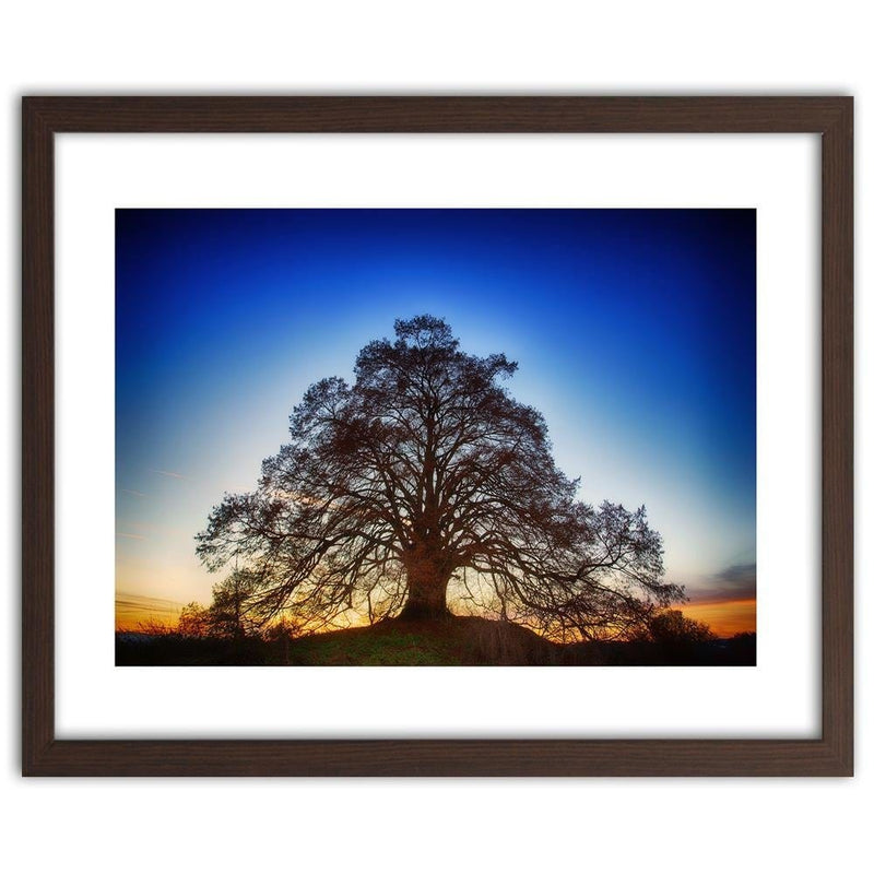 Glezna brūnā rāmī - Big Tree At Dusk  Home Trends DECO