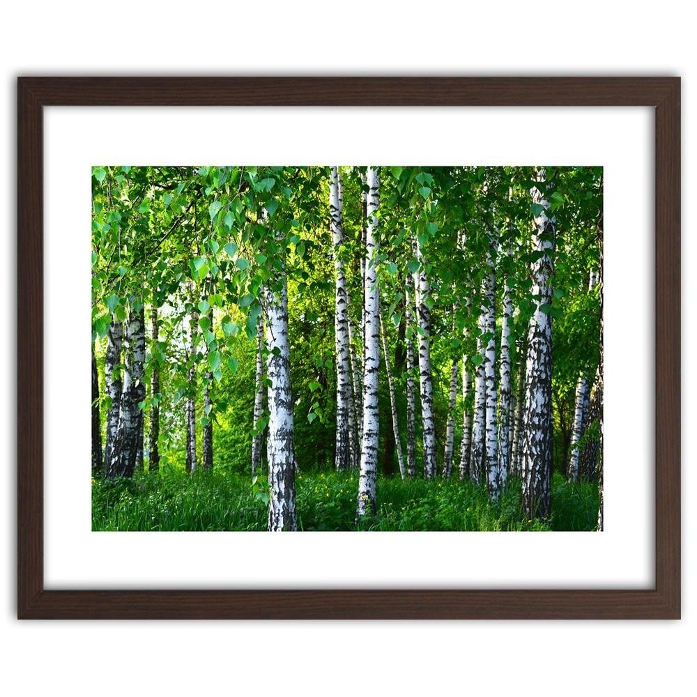 Glezna brūnā rāmī - Birch Forest  Home Trends DECO
