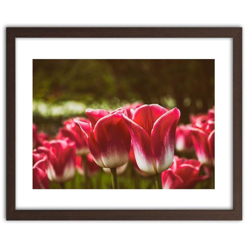 Glezna brūnā rāmī - Blooming Tulip  Home Trends DECO
