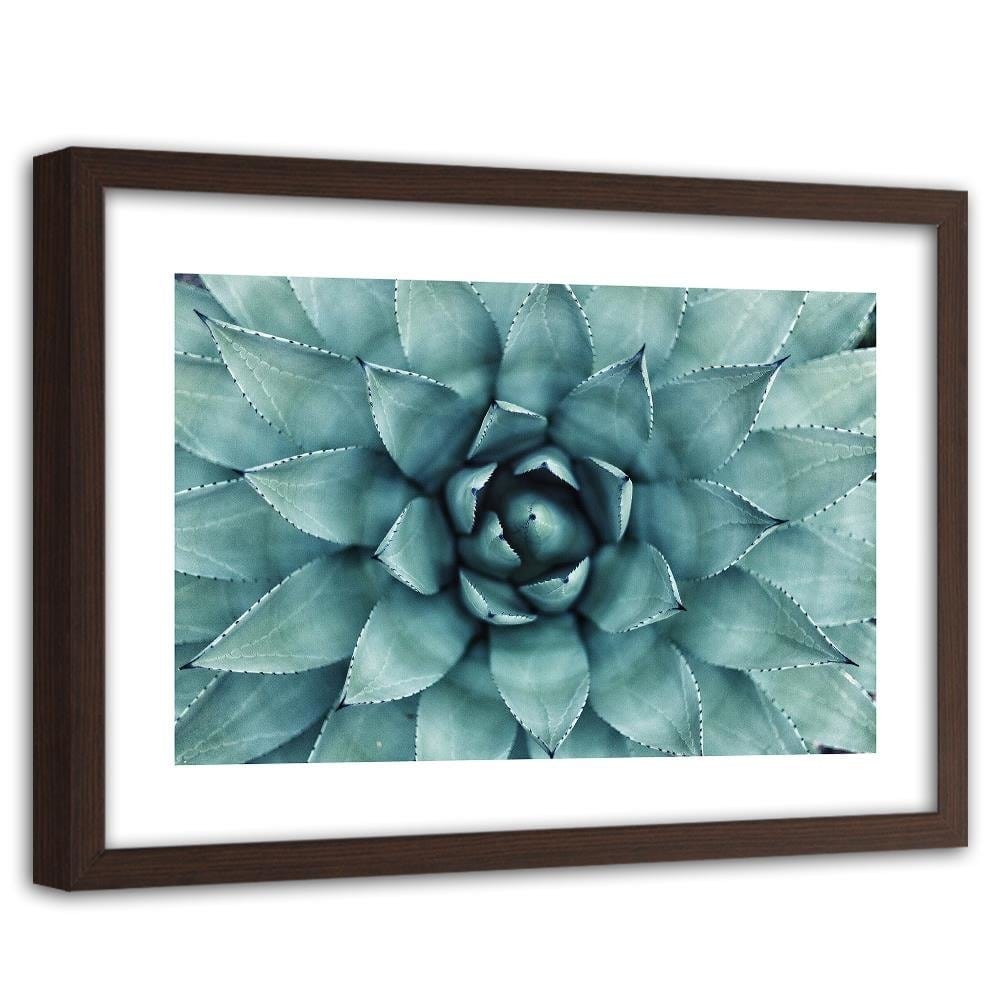 Glezna brūnā rāmī - Blue Aloe  Home Trends DECO