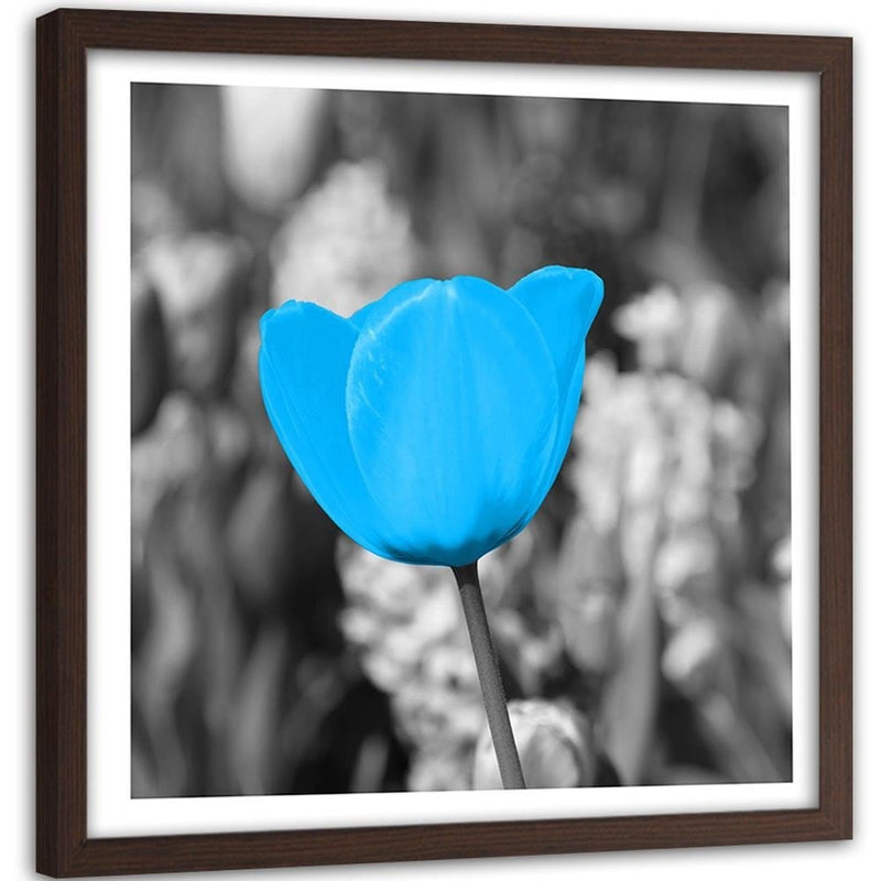 Glezna brūnā rāmī - Blue Tulip  Home Trends DECO