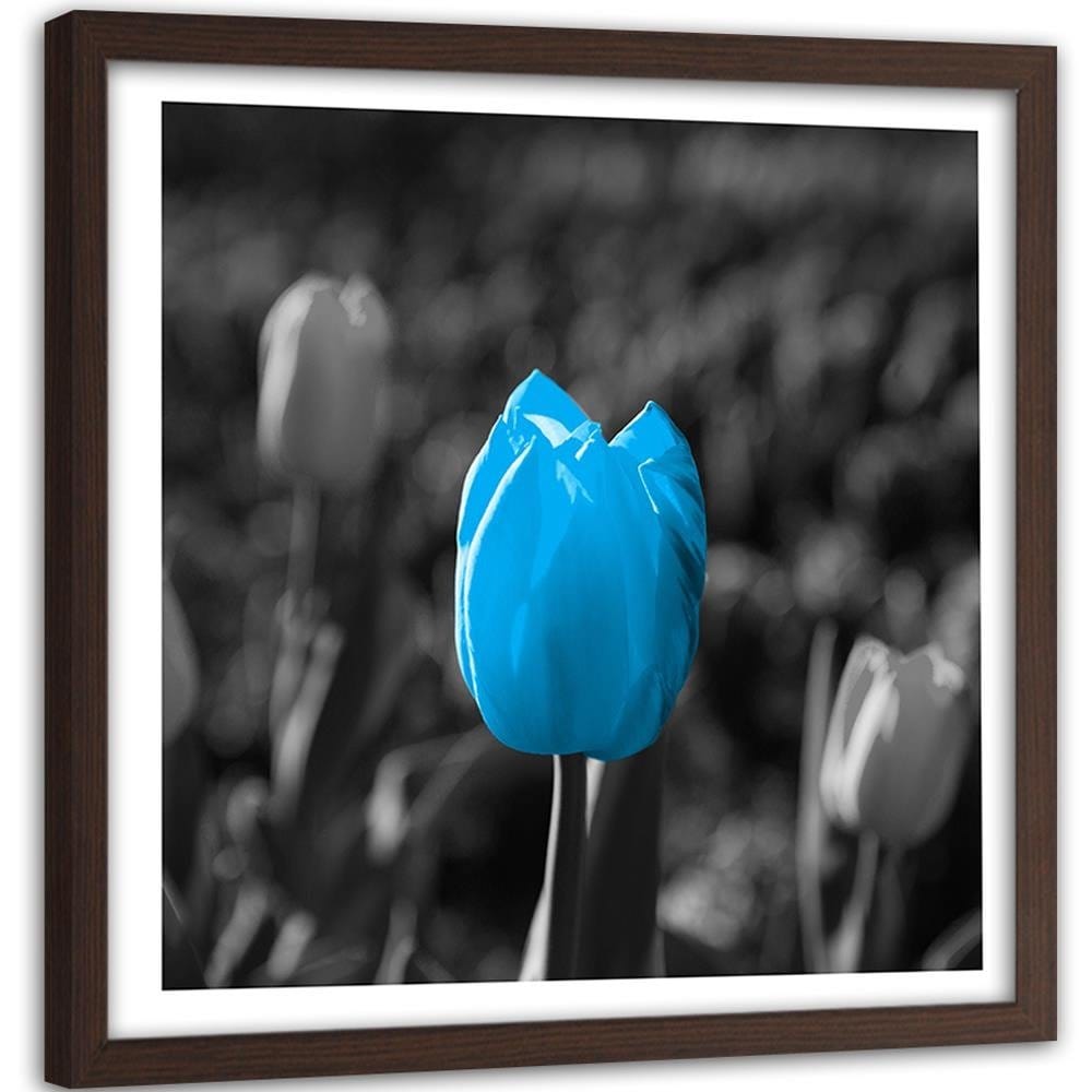 Glezna brūnā rāmī - Blue Tulip In Gray  Home Trends DECO