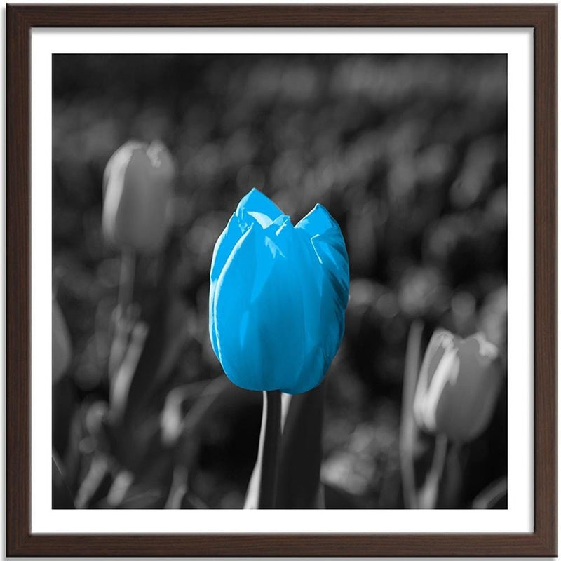 Glezna brūnā rāmī - Blue Tulip In Gray  Home Trends DECO