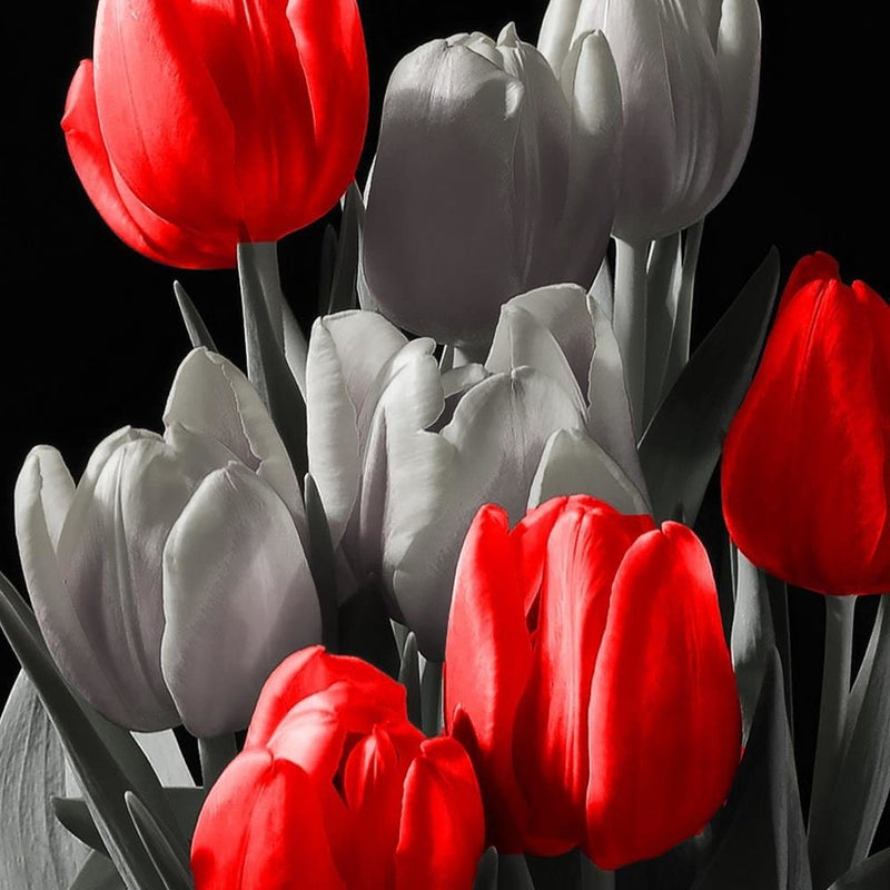 Glezna brūnā rāmī - Bouquet Of Red Tulips  Home Trends DECO