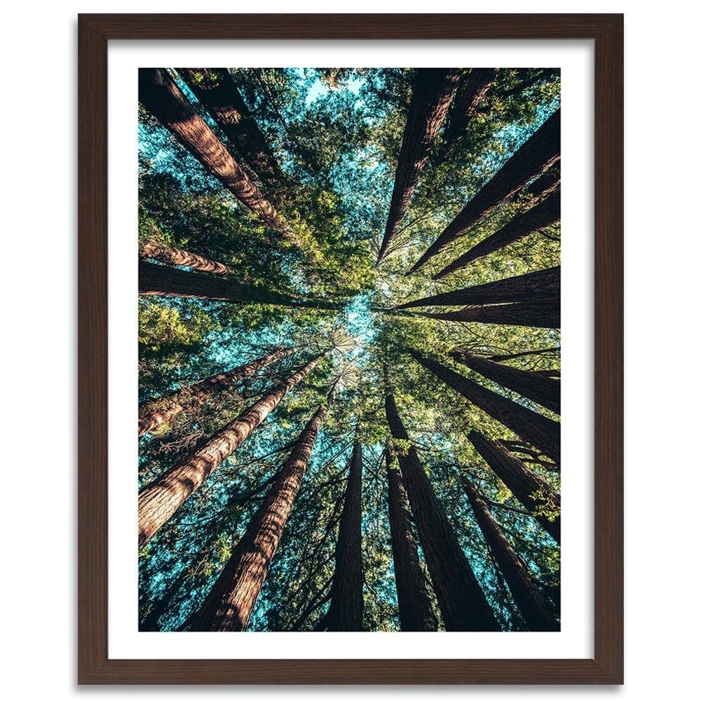 Glezna brūnā rāmī - Branches Of Tall Trees  Home Trends DECO