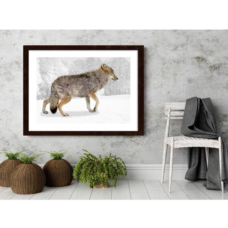 Glezna brūnā rāmī - Brown wolf  Home Trends DECO