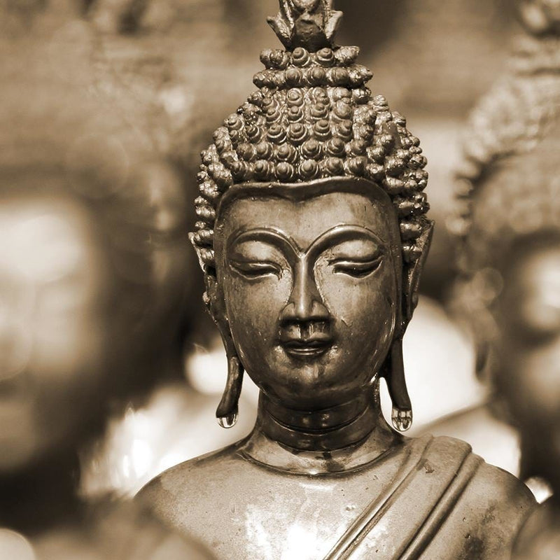 Glezna brūnā rāmī - Buddha In The Crowd  Home Trends DECO