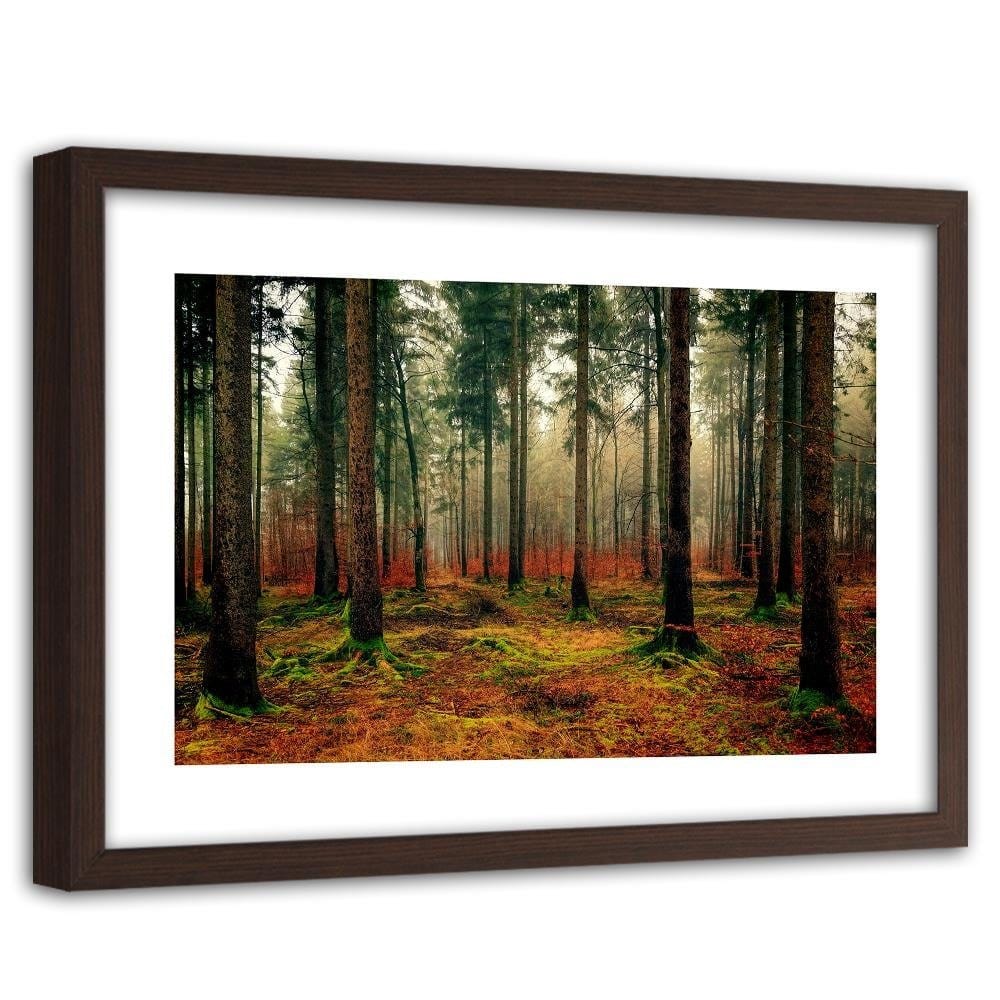 Glezna brūnā rāmī - Colorful Forest  Home Trends DECO