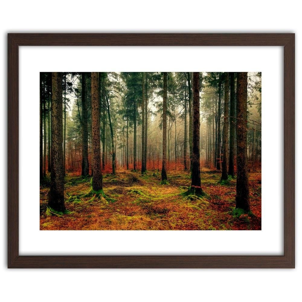 Glezna brūnā rāmī - Colorful Forest  Home Trends DECO