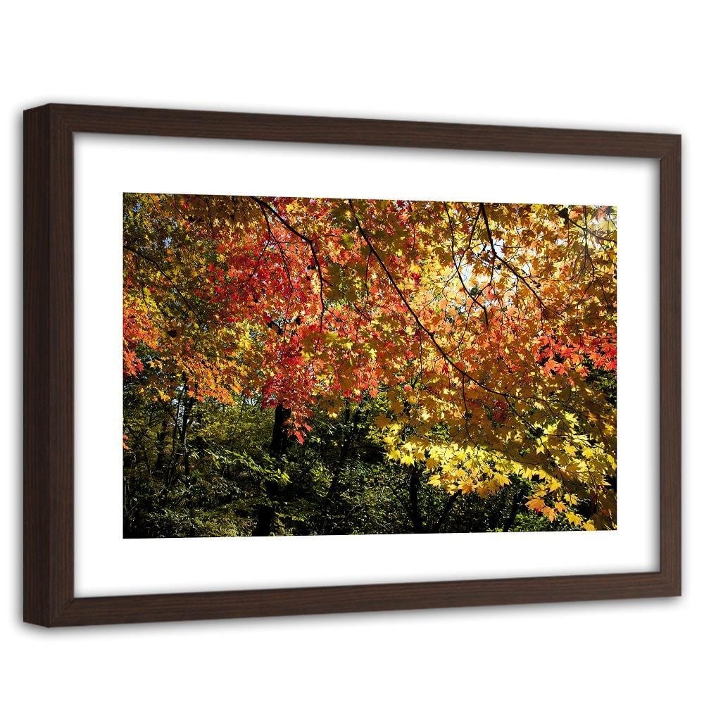 Glezna brūnā rāmī - Colorful Leaves  Home Trends DECO