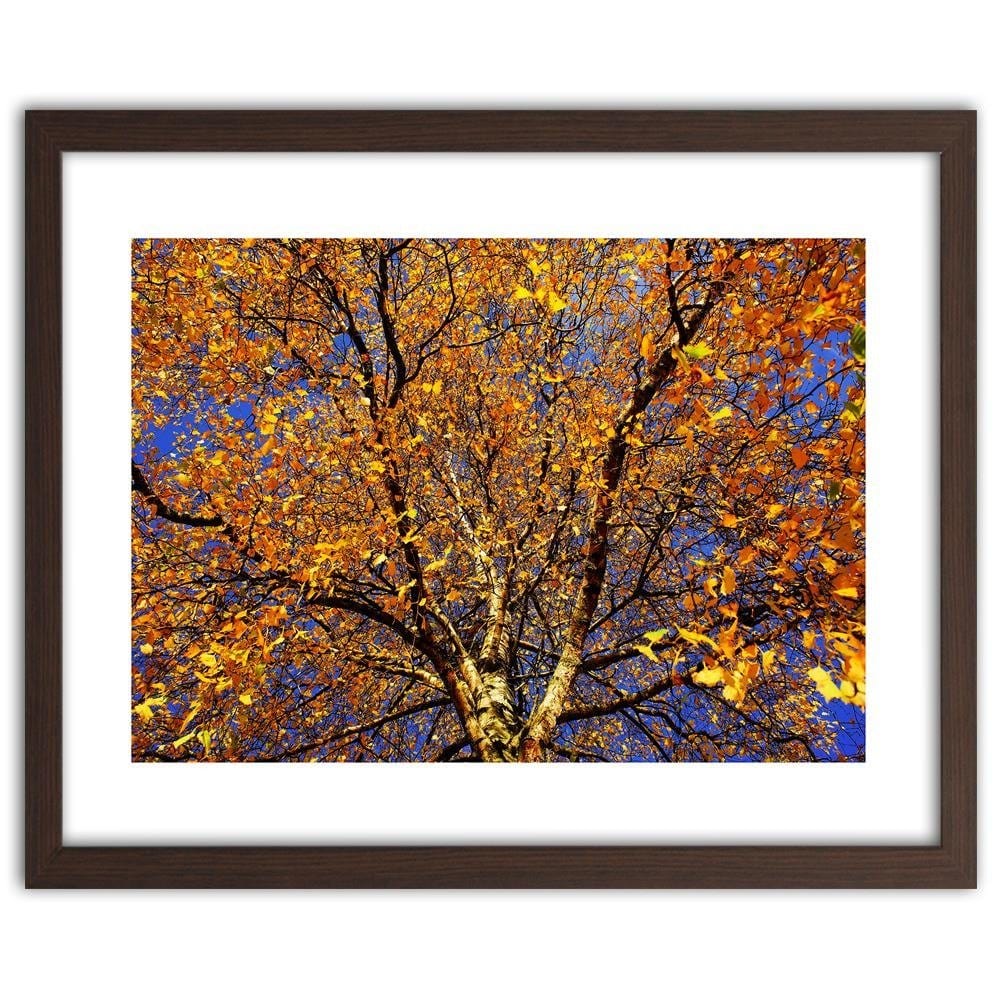 Glezna brūnā rāmī - Colorful Leaves On A Tree  Home Trends DECO