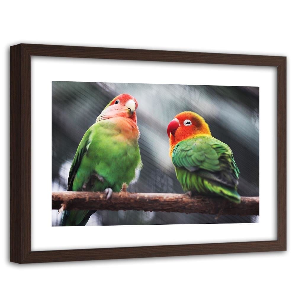 Glezna brūnā rāmī - Colorful Parrots  Home Trends DECO