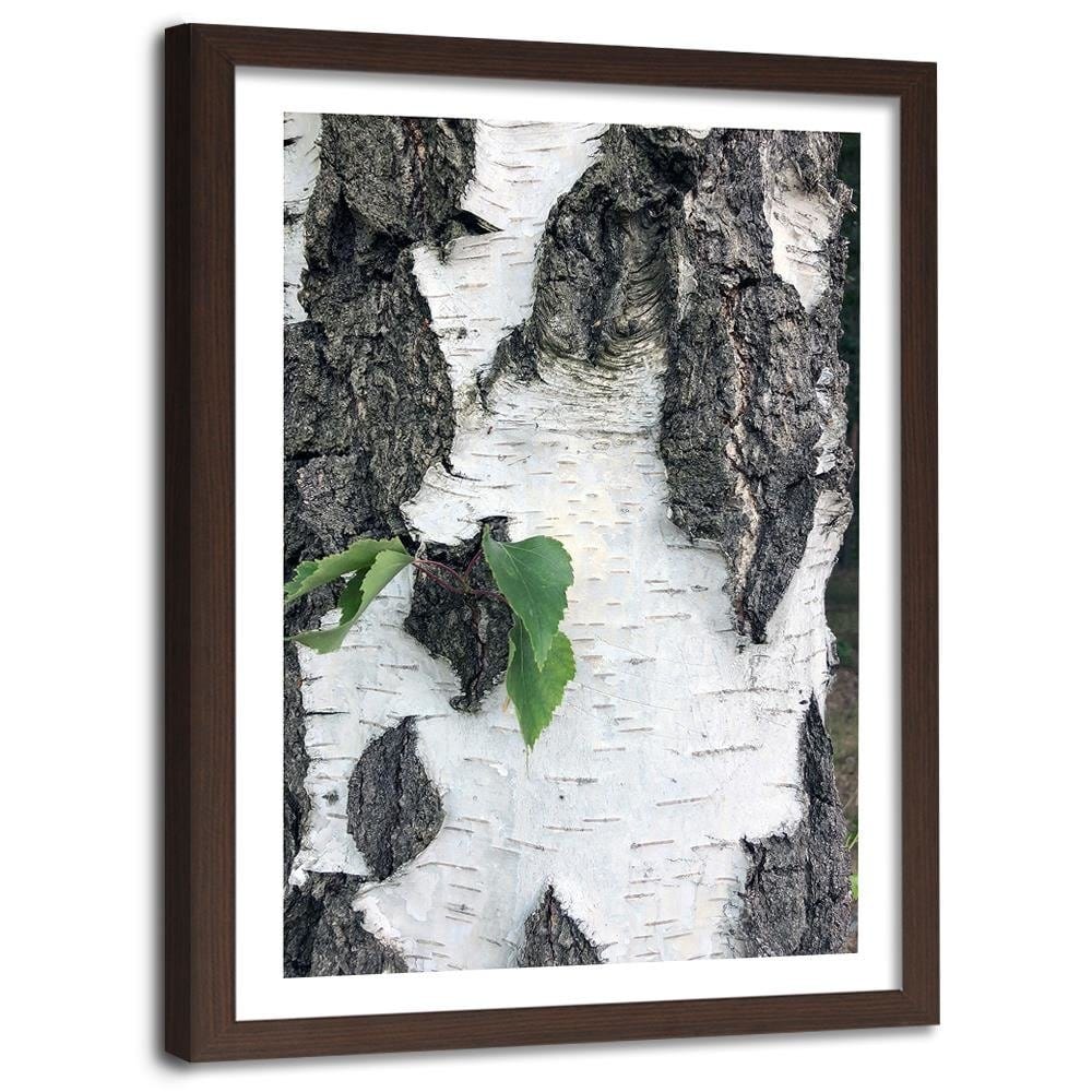 Glezna brūnā rāmī - Colors Birch  Home Trends DECO
