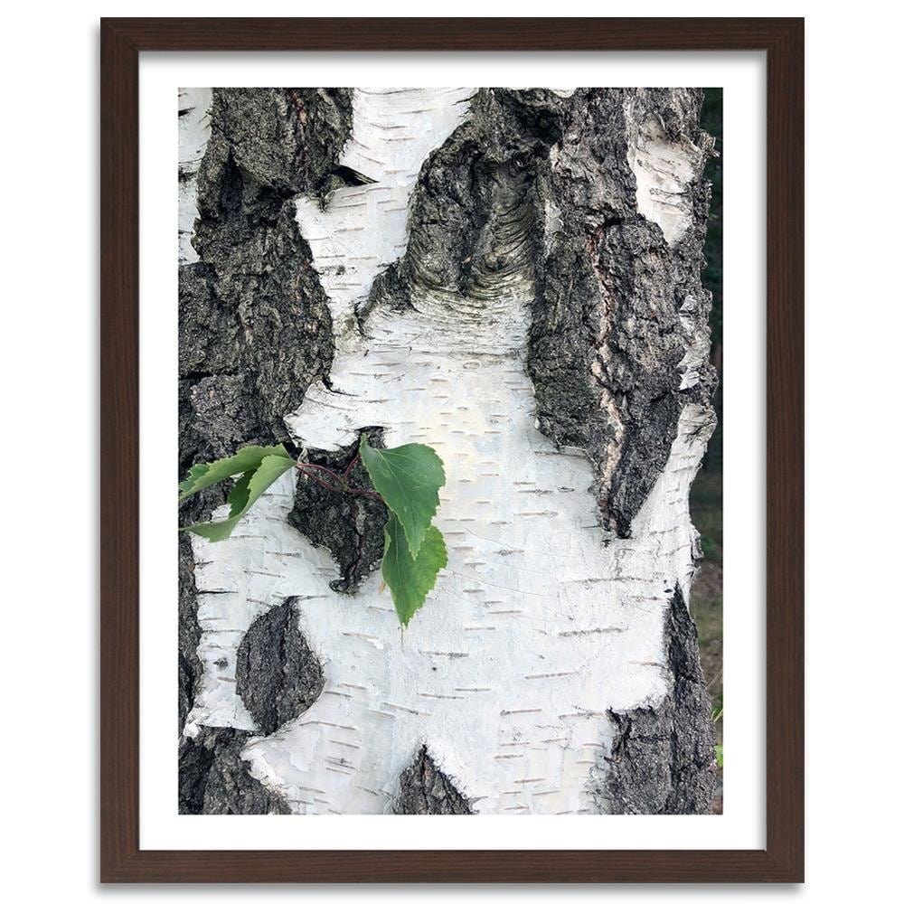 Glezna brūnā rāmī - Colors Birch  Home Trends DECO