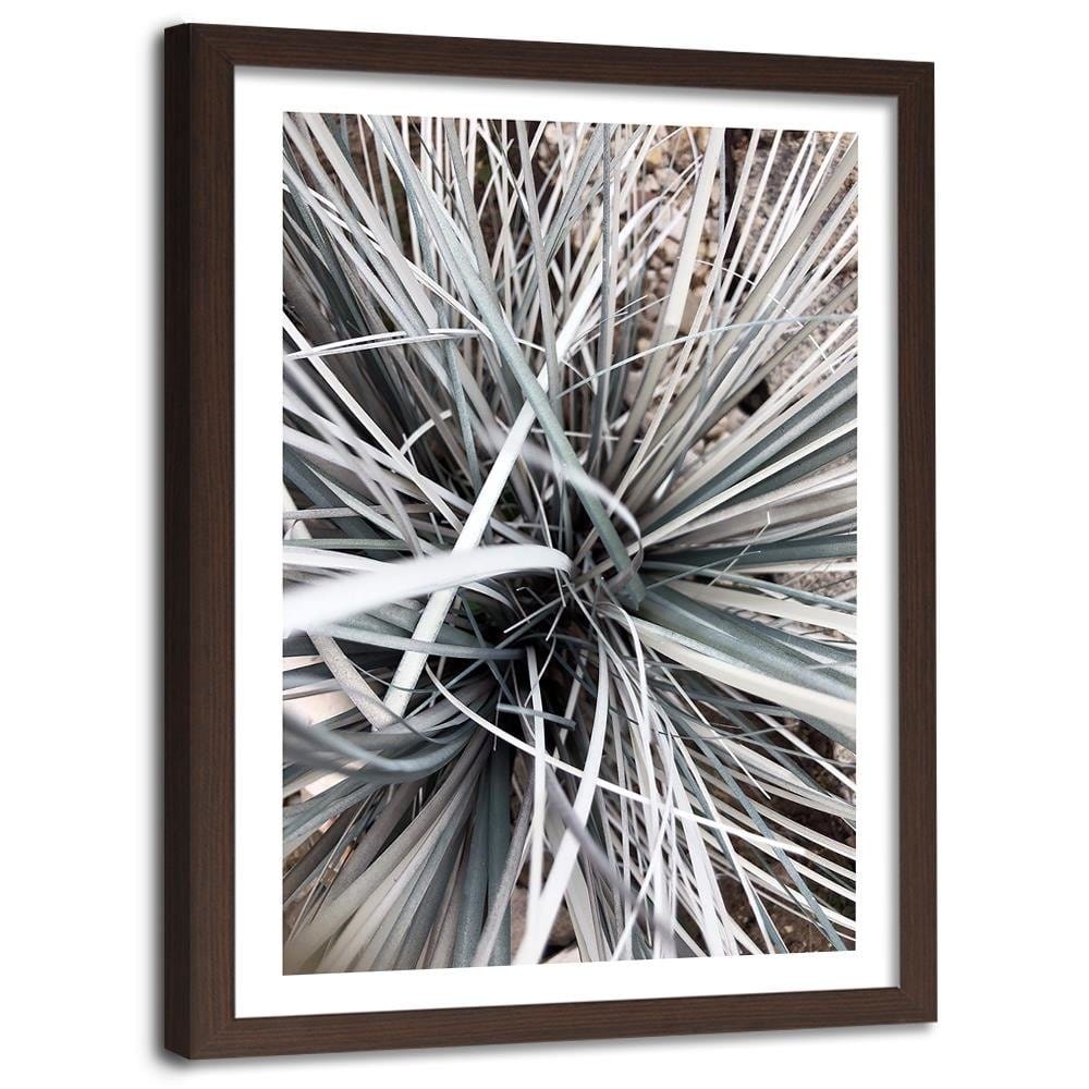 Glezna brūnā rāmī - Decorative Grass  Home Trends DECO