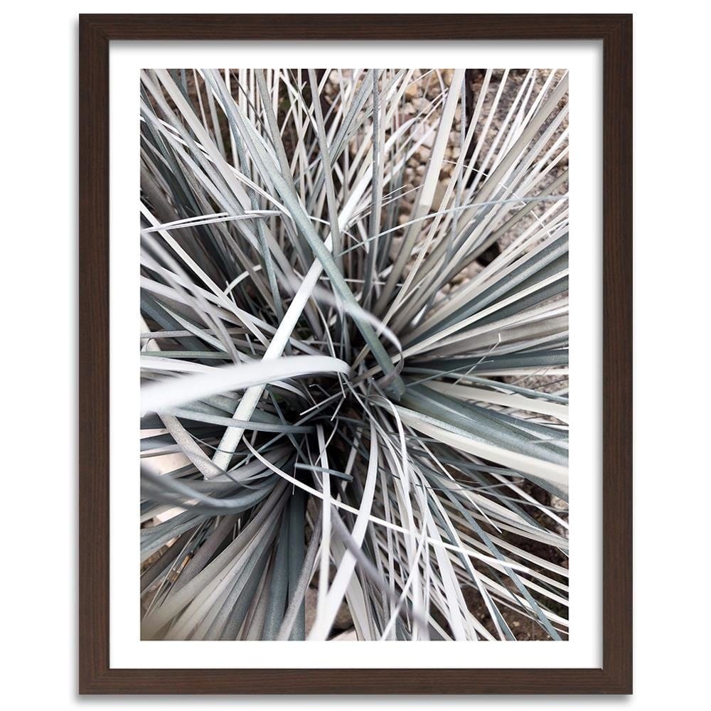 Glezna brūnā rāmī - Decorative Grass  Home Trends DECO