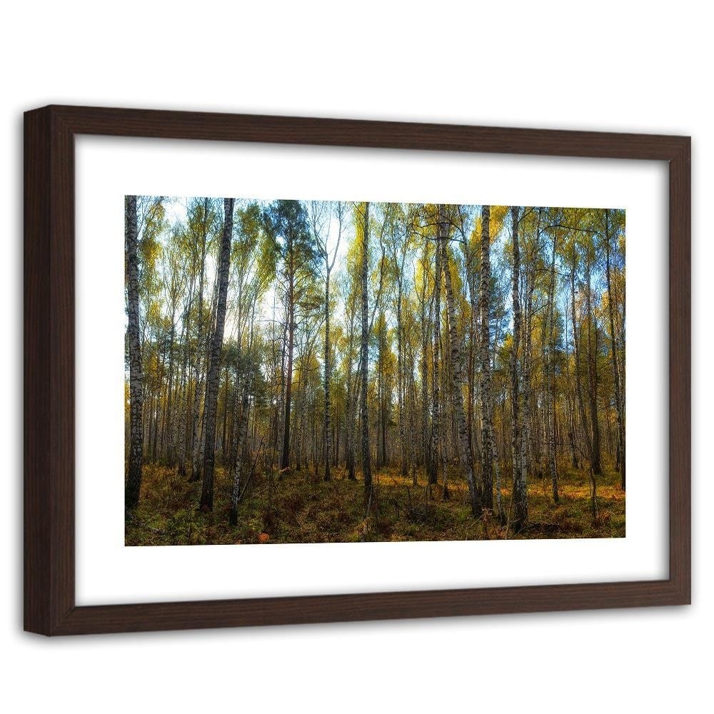 Glezna brūnā rāmī - Dense Birch Forest  Home Trends DECO