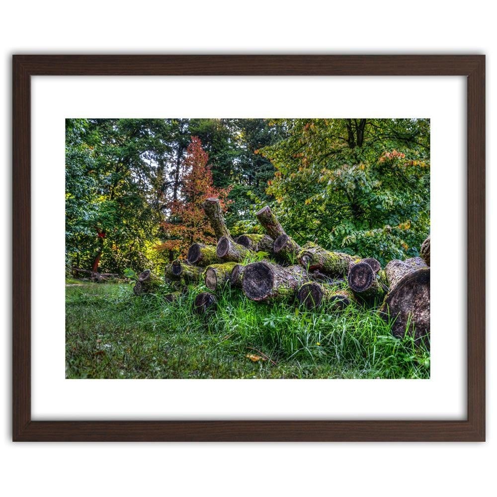 Glezna brūnā rāmī - Felled Tree Trunks  Home Trends DECO