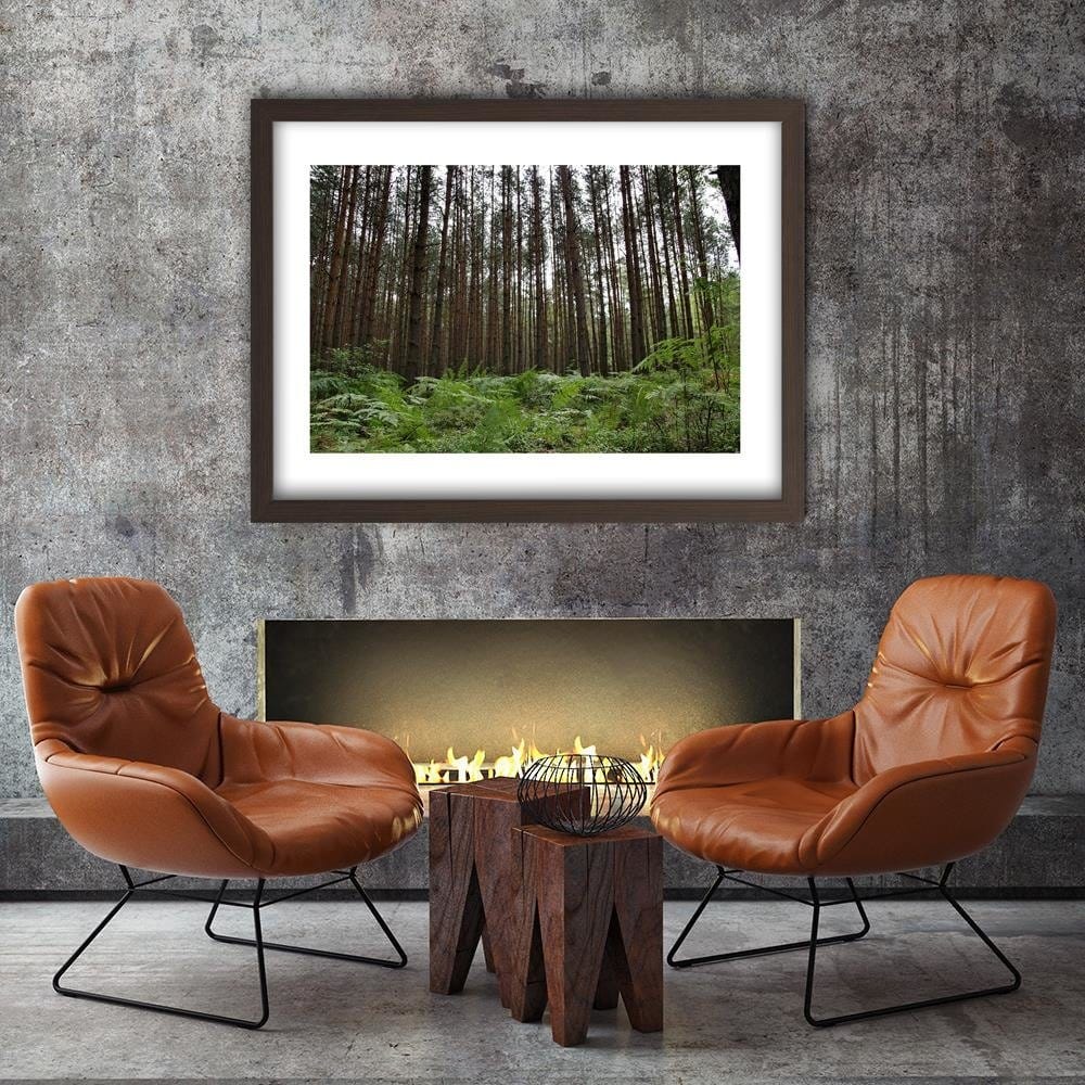 Glezna brūnā rāmī - Ferns In The Forest  Home Trends DECO
