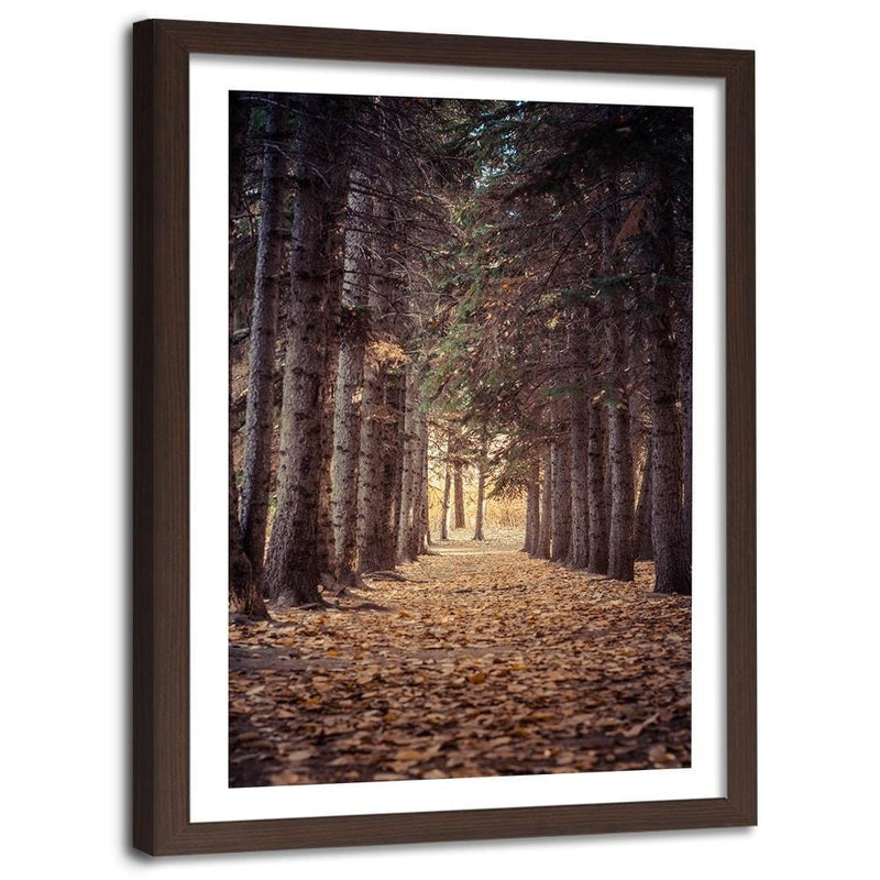 Glezna brūnā rāmī - Forest In Autumn  Home Trends DECO