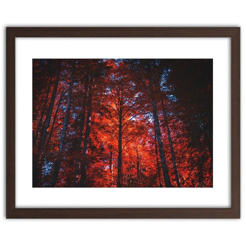 Glezna brūnā rāmī - Forest In The Light Of The Setting Sun  Home Trends DECO