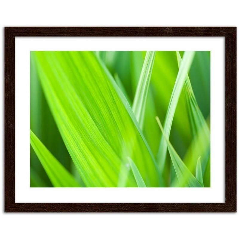 Glezna brūnā rāmī - Grass leaves  Home Trends DECO