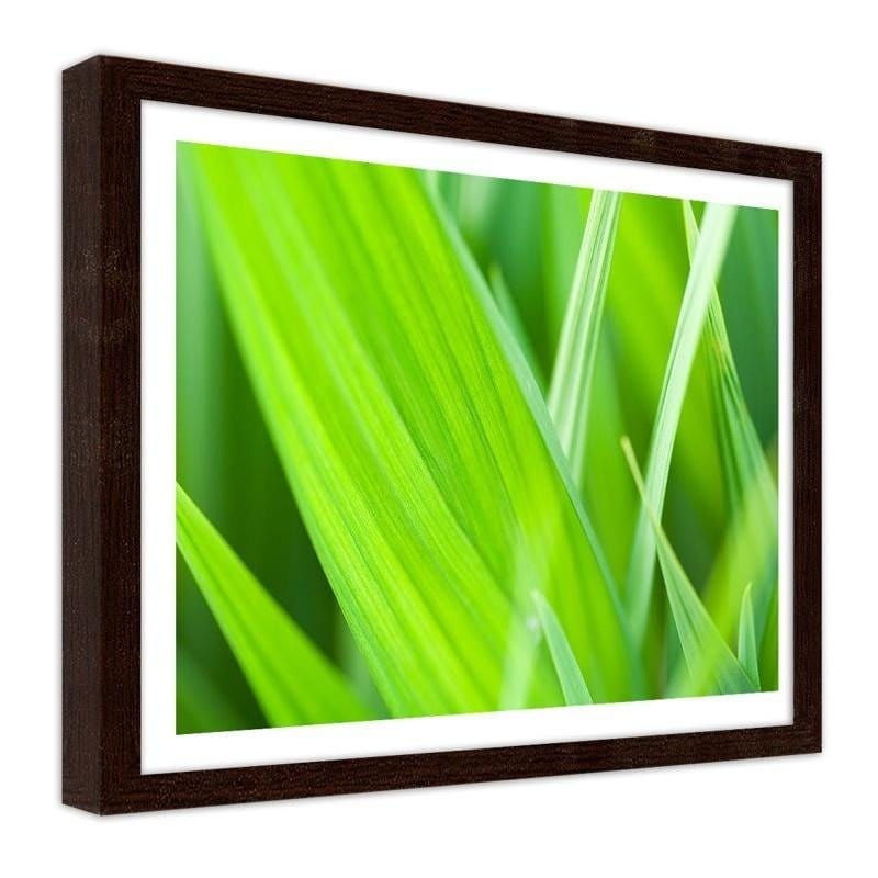 Glezna brūnā rāmī - Grass leaves  Home Trends DECO