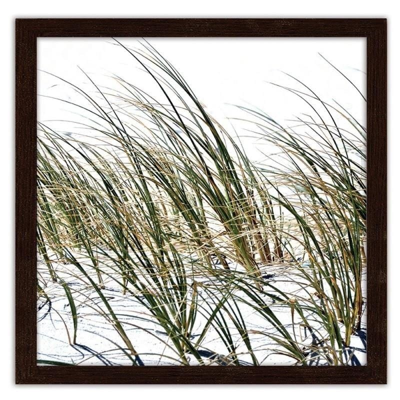 Glezna brūnā rāmī - Grass on the beach  Home Trends DECO