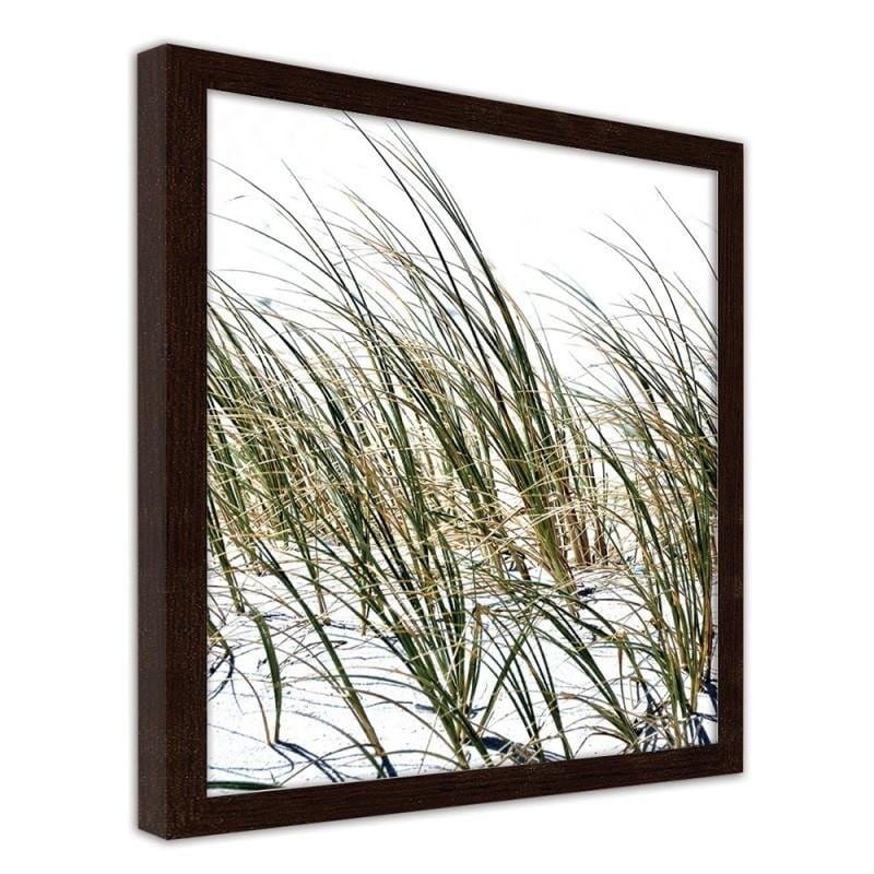 Glezna brūnā rāmī - Grass on the beach  Home Trends DECO