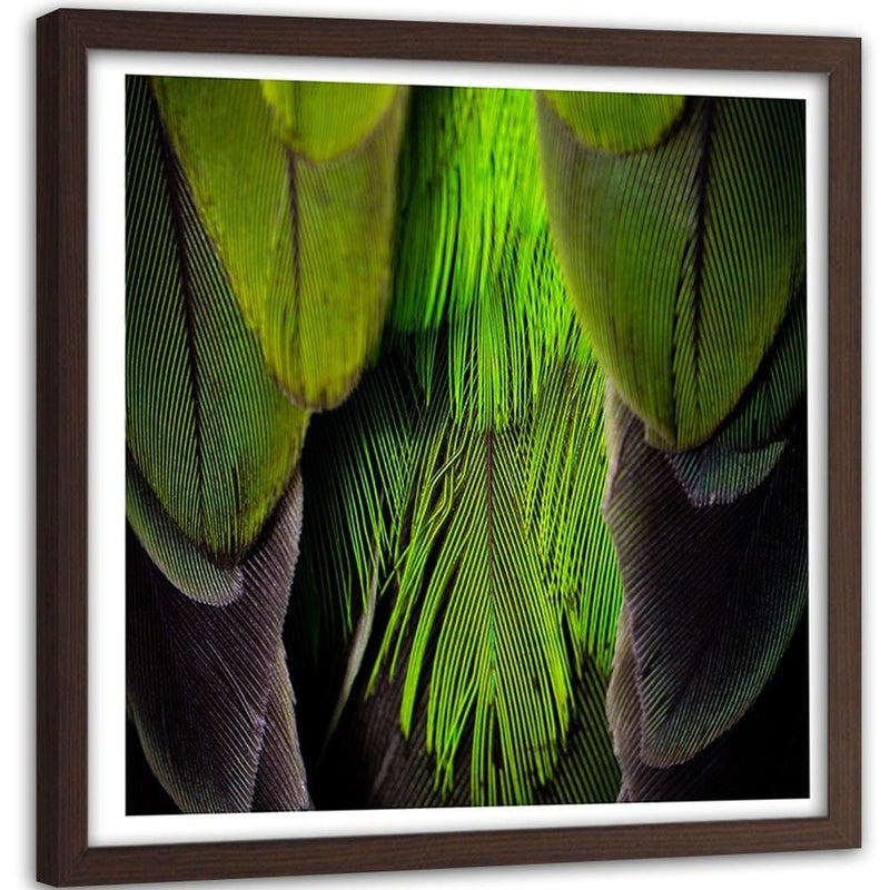 Glezna brūnā rāmī - Green Feathers  Home Trends DECO