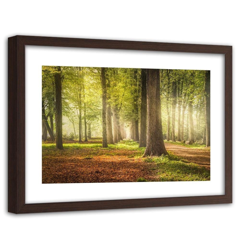 Glezna brūnā rāmī - Green Forest  Home Trends DECO