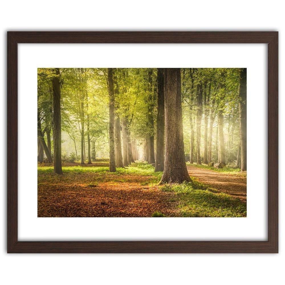 Glezna brūnā rāmī - Green Forest  Home Trends DECO