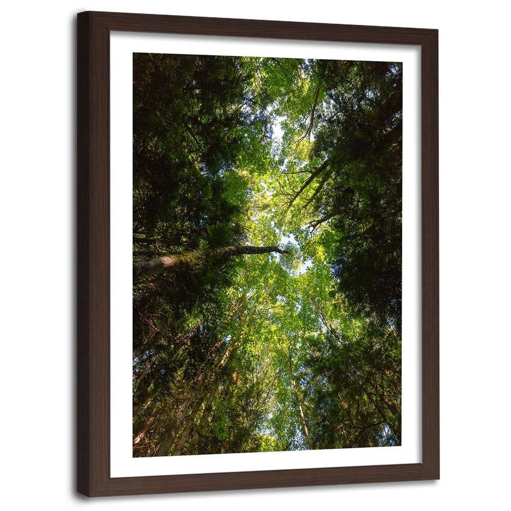 Glezna brūnā rāmī - Green Treetops  Home Trends DECO