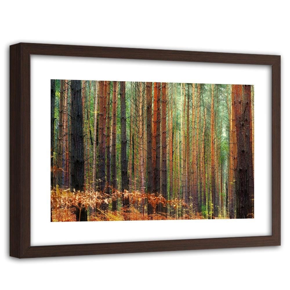 Glezna brūnā rāmī - In The Middle Of A Forest  Home Trends DECO
