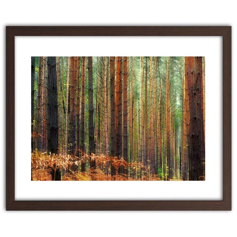 Glezna brūnā rāmī - In The Middle Of A Forest  Home Trends DECO