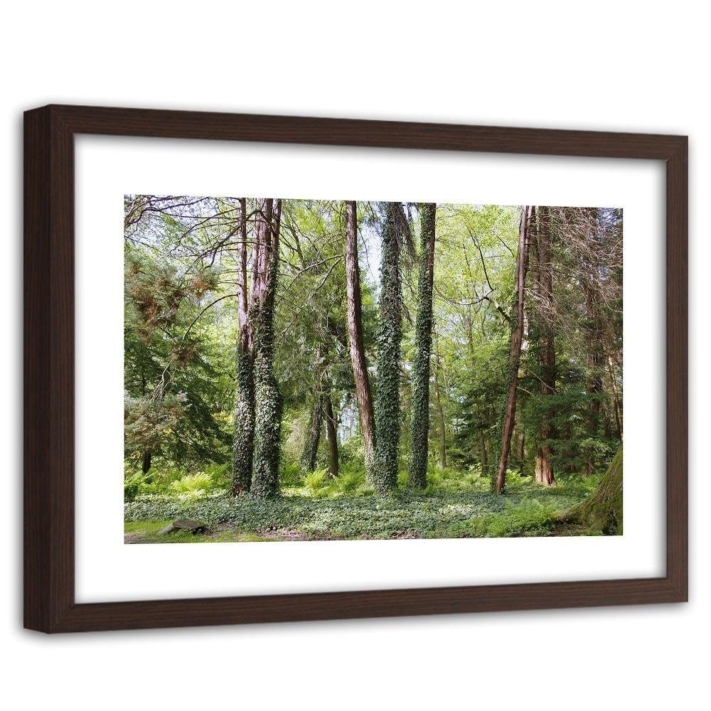Glezna brūnā rāmī - Ivy On The Trees  Home Trends DECO