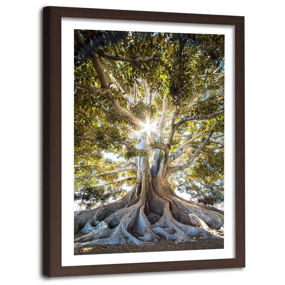 Glezna brūnā rāmī - Large Exotic Tree  Home Trends DECO
