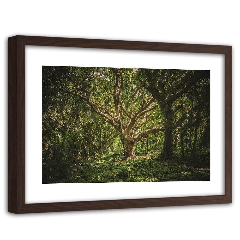 Glezna brūnā rāmī - Large Tree In The Middle Of The Forest  Home Trends DECO