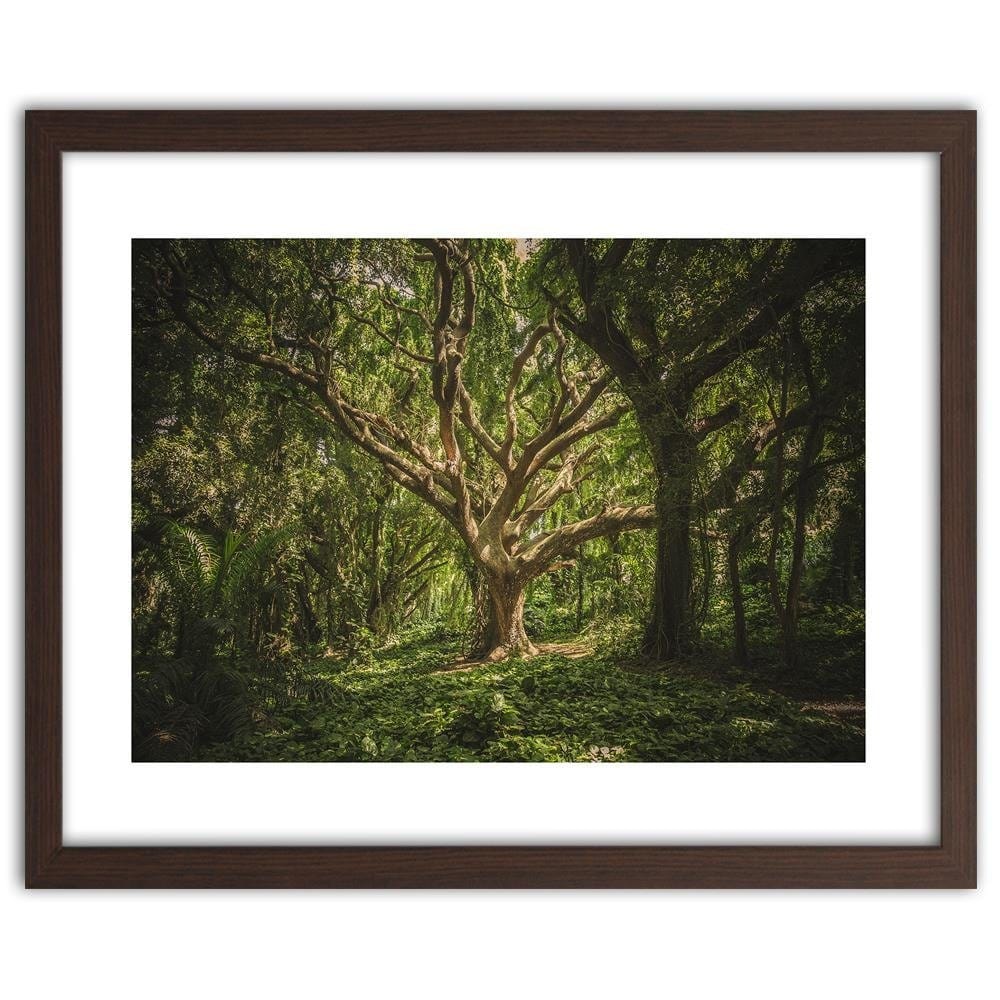 Glezna brūnā rāmī - Large Tree In The Middle Of The Forest  Home Trends DECO