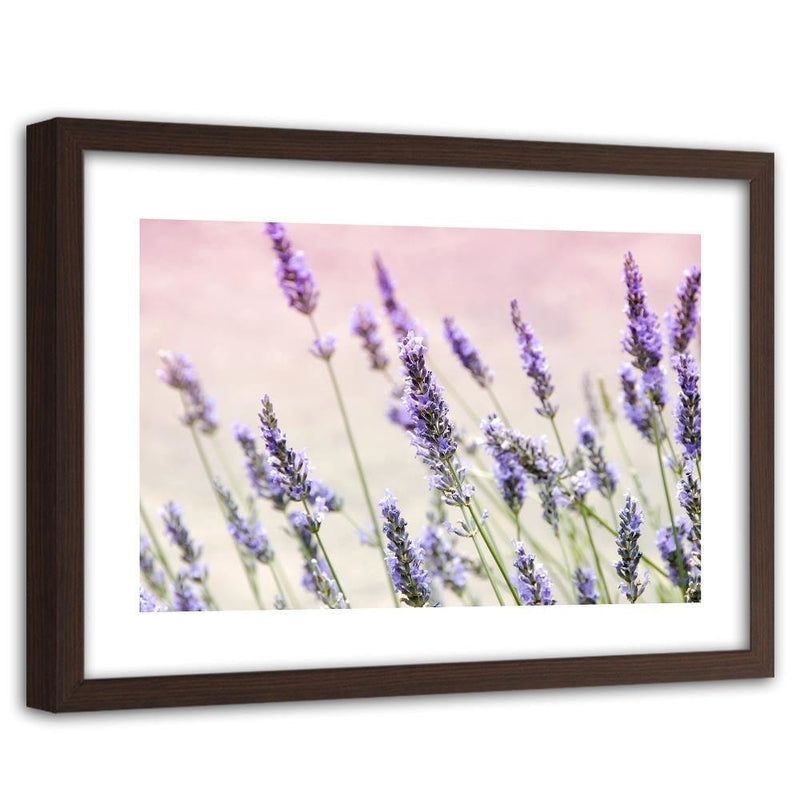 Glezna brūnā rāmī - Lavender Flowers  Home Trends DECO