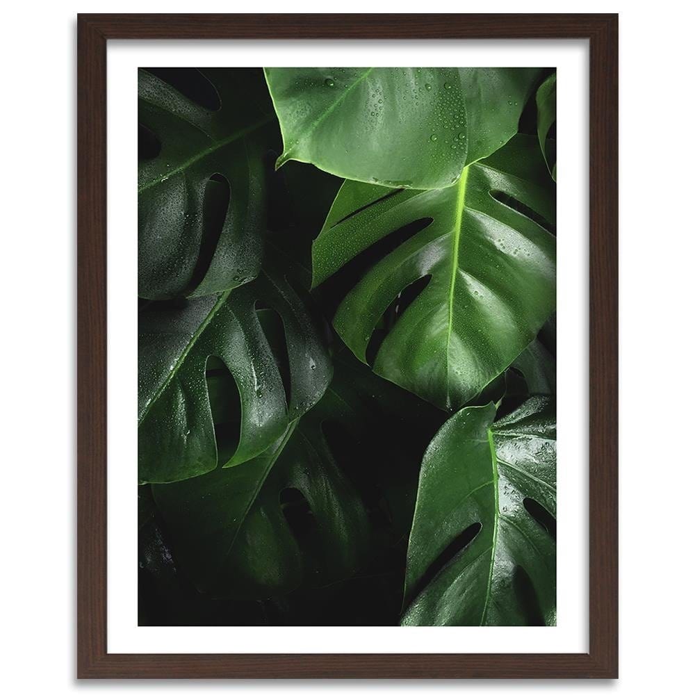 Glezna brūnā rāmī - Lush Green  Home Trends DECO