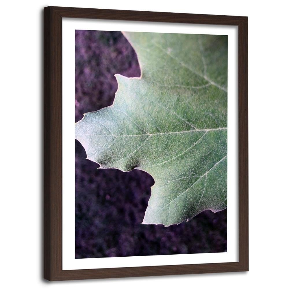 Glezna brūnā rāmī - Maple Leaf  Home Trends DECO